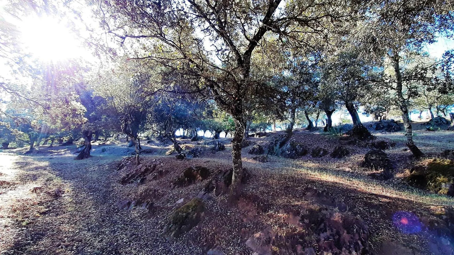 Holiday home Casa Rural Gurumelo Aracena
